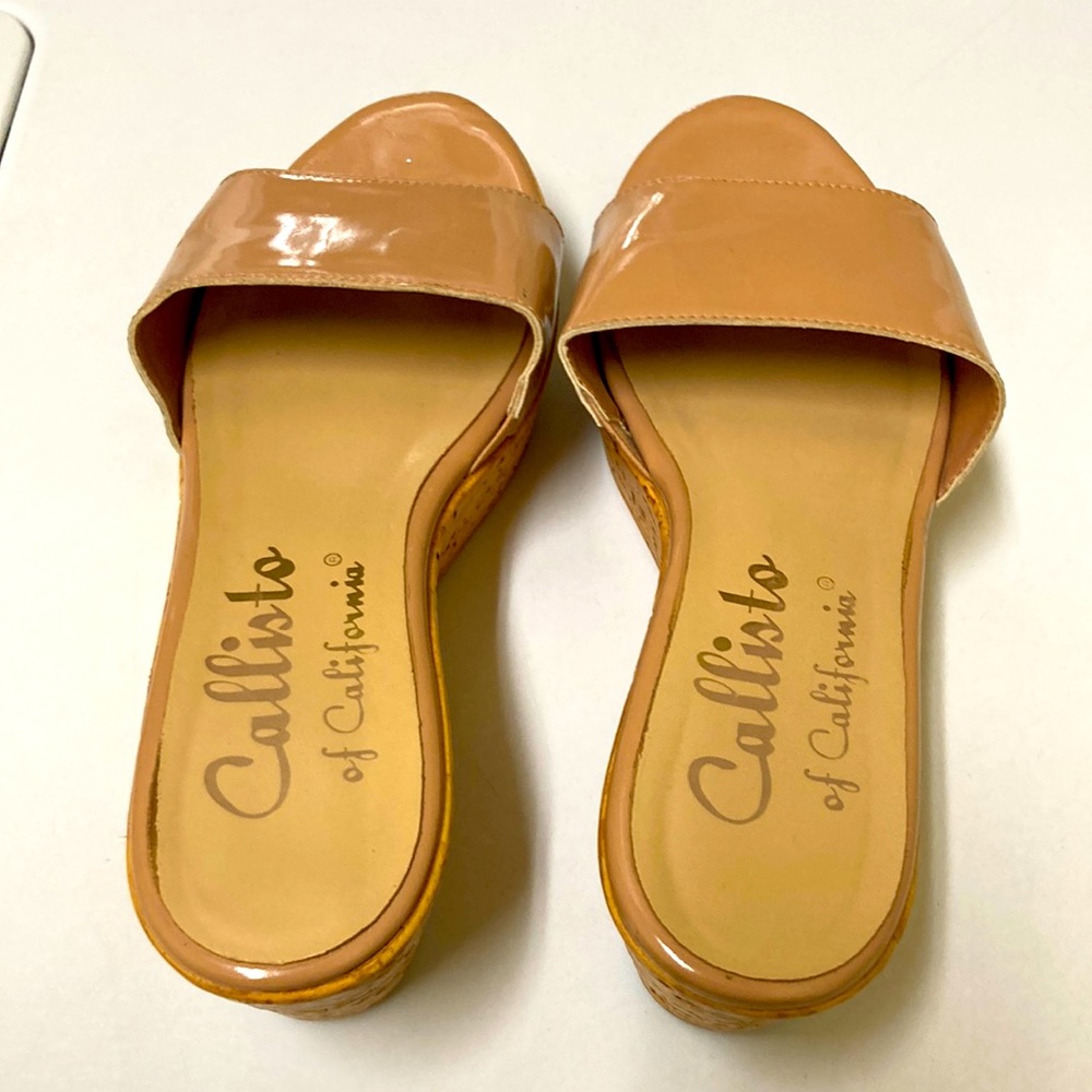 Beautiful patent nude slides.